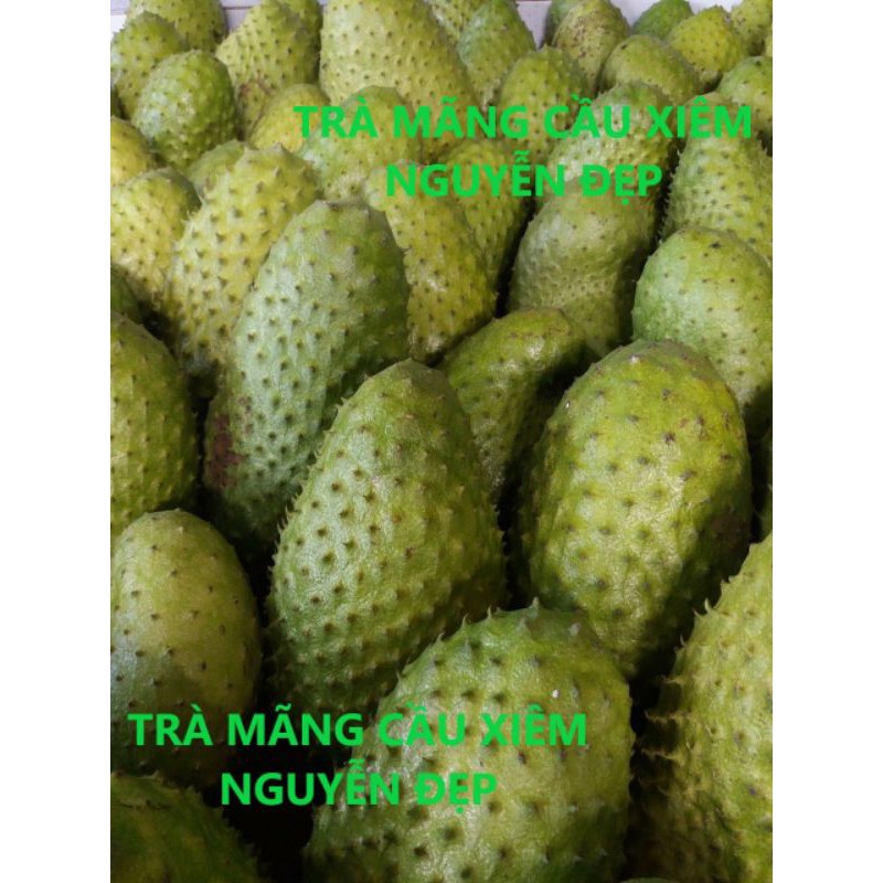 (100GR) TRÀ MÃNG CẦU XIÊM NGUYỄN ĐẸP