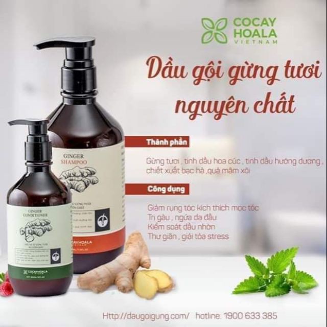 [SIÊU SALE] Dầu xả COCAYHOALA chiết xuất gừng tươi 300ml.