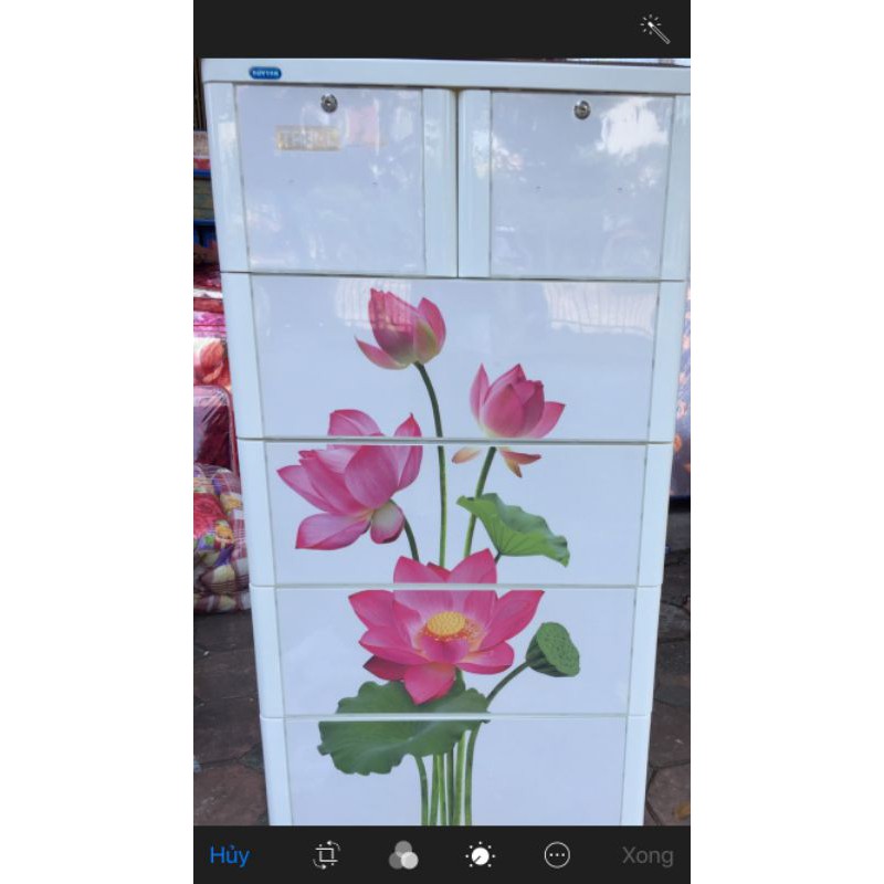 Tủ nhựa TABI L 5 tầng 6 ngăn HOA SEN DUY TÂN 70*48*130cm