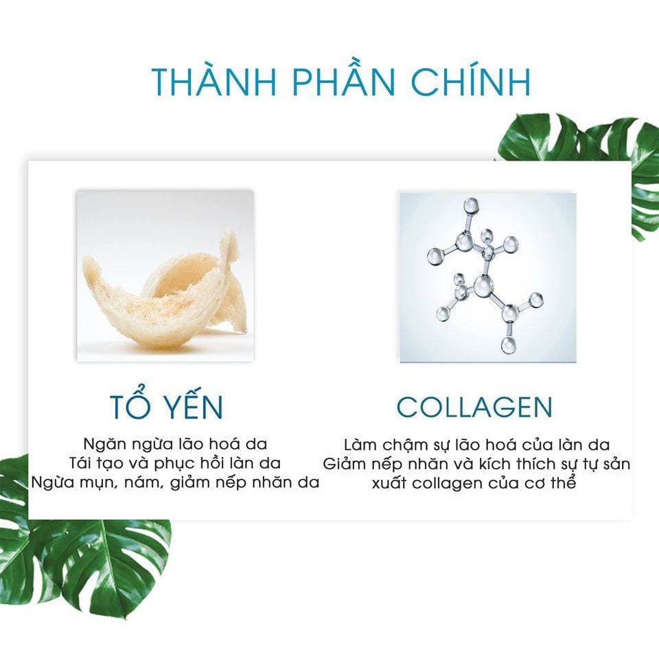 [ HOT SALE]  HỘP 6 HŨ Mặt nạ tổ yến dạng thạch chứa Collagen giúp da căng bóng đàn hồi