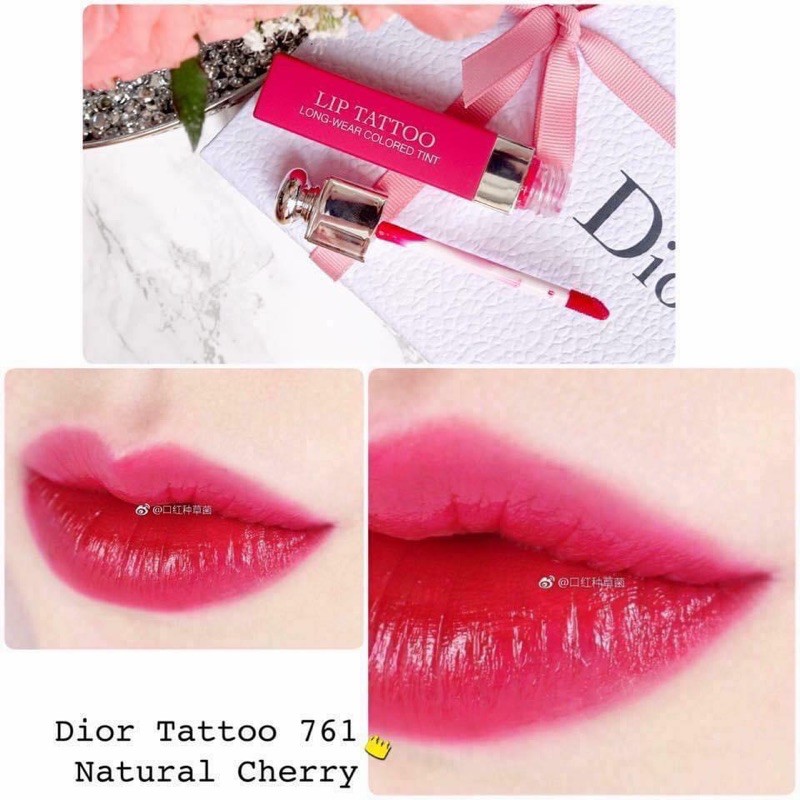 Son Dior Tattoo màu 351-761