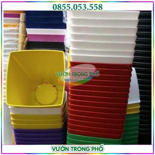 Bộ 10 CHẬU NHỰA VUÔNG TRỒNG CÂY ĐỦ MÀU V16