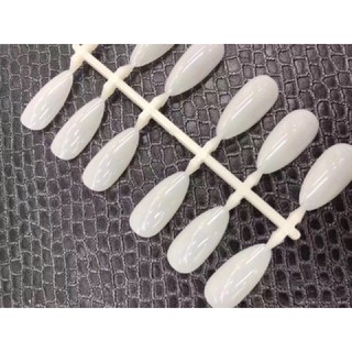 móng xương cá nhọn mẫu mới gắn sổ móng