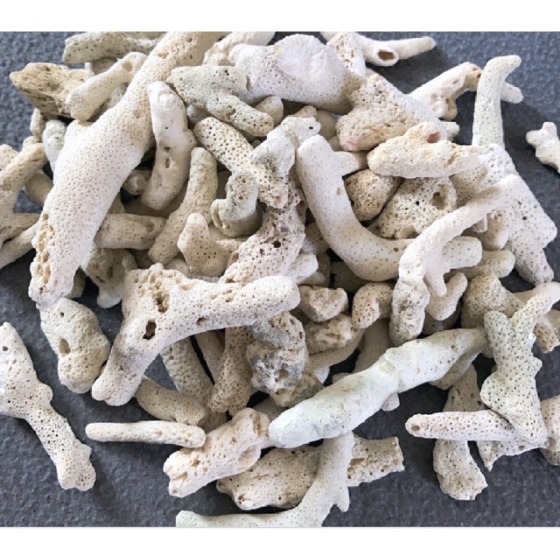 San hô vụn trang trí hồ cá 1KG, vật liệu lọc hồ cá, hồ hải sản, sỉ và lẻ