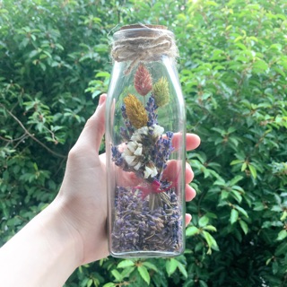 Lọ hoa khô Lavender quà tặng 🌸🌸🌸