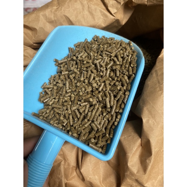 Cỏ Linh Lăng Alfalfa 3ly dành cho gà đá, bọ, thỏ... (1kg) - Pet Food Store.