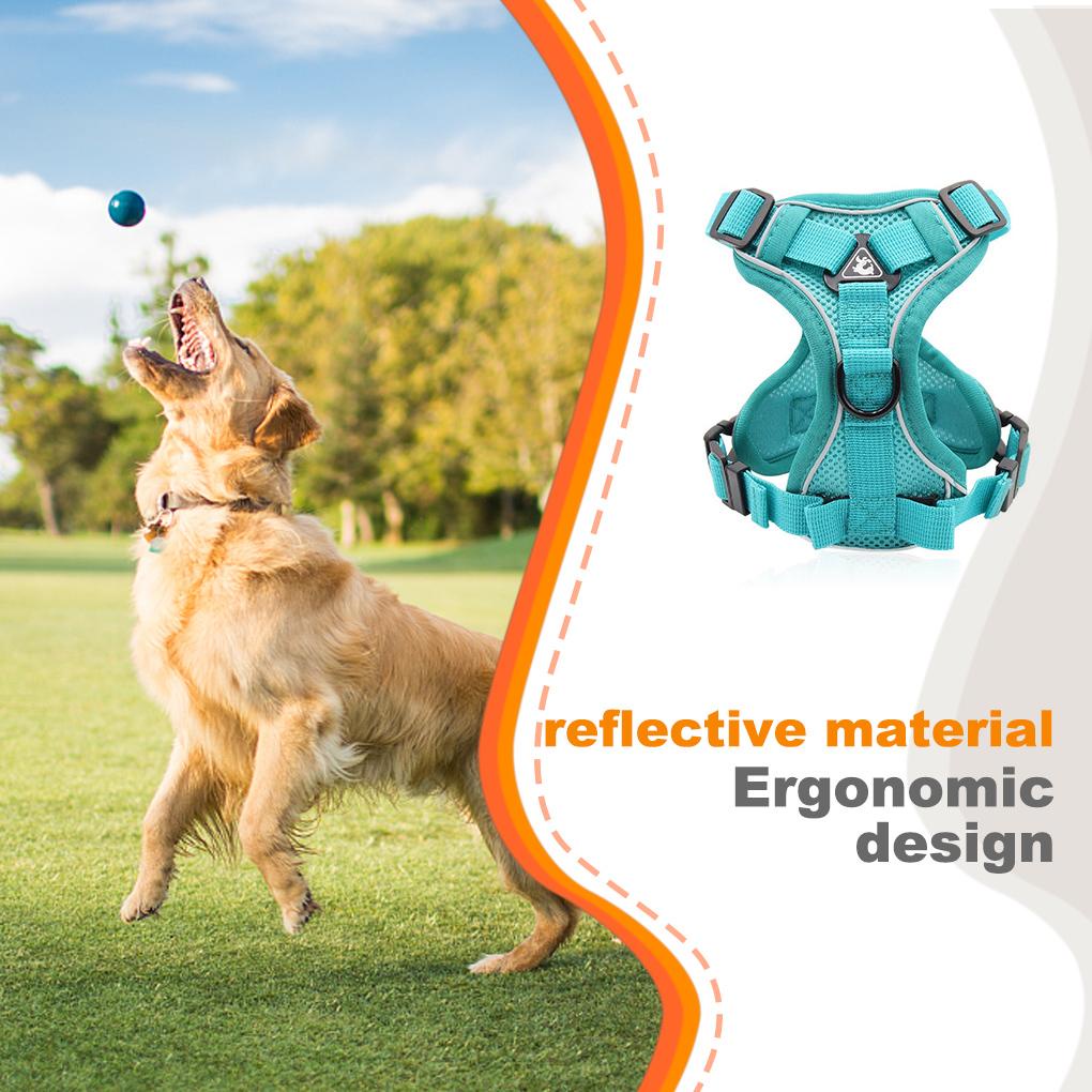 Dây Dắt Thú Cưng Đi Dạo Thiết Kế Phản Quang Thoáng Khí Tùy Chỉnh Tiện Dụng