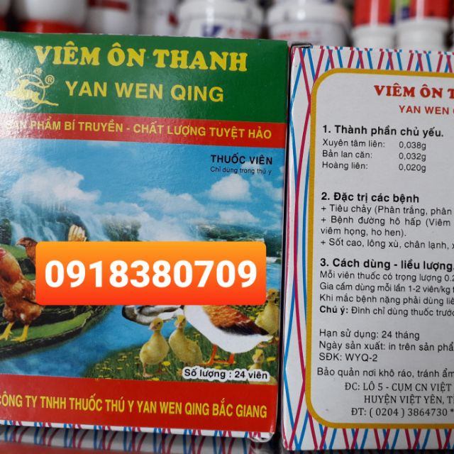 Viêm ôn thanh. 10 hộp (1 Hộp 1 vĩ x 24 viên )