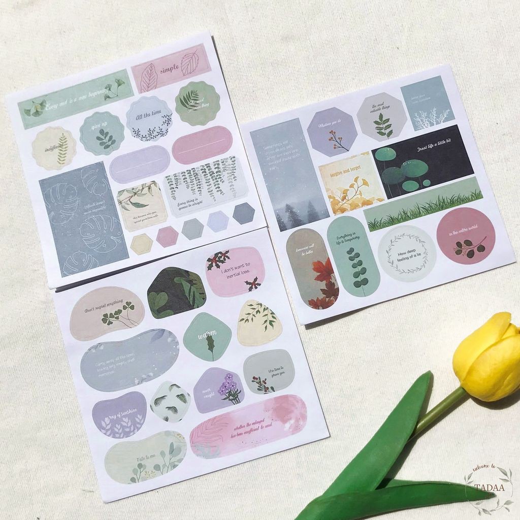 Set 3 sticker vintage hoa cúc và lá retro, chữ tiếng Anh màu sắc pastel