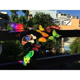 BƯỚM 3D TRANG TRÍ (có nam châm)
