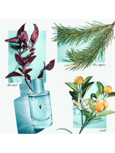 Nước Hoa Nữ Tiffany & Co Tiffany & Love Eau de Parfum 90ml