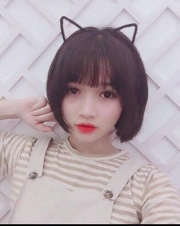 Bờm tóc tai mèo quấn nhung