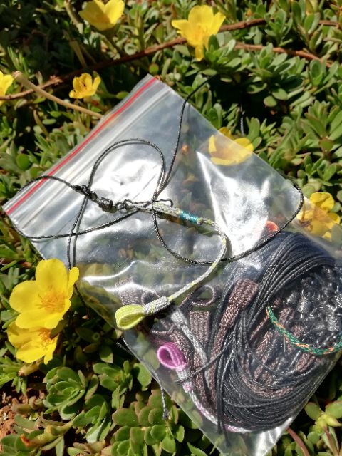 Dây xích chân chim cu đất