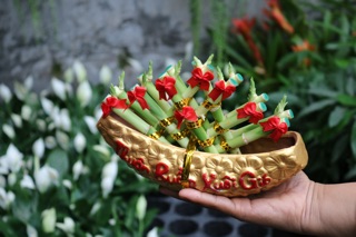 Chậu Thuyền Trúc Phú Quý