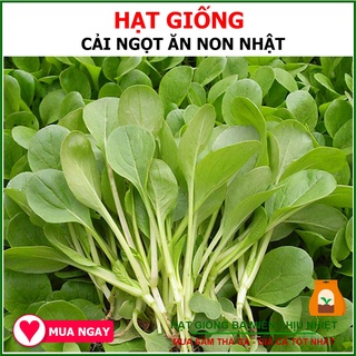 20G - Hạt Giống Rau Cải Ngọt Ăn Non JAPONICA