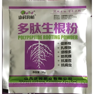 Kích rễ Trung Quốc, Siêu kích rễ, Giâm cành, Chiết cành, Nội địa Trung