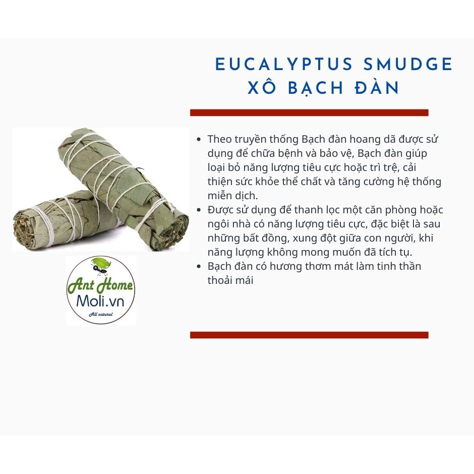 Combo 1-2-3 Bó xô BẢO VỆ (Bạch đàn eucalyptus)