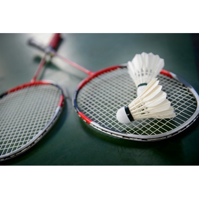 Ống cầu lông Hải Yến 12 quả ( Đỏ Vàng ) sử dụng trong luyện tâp và thi đấu hàng Việt Nam chất lượng cao - LICLAC