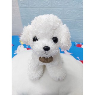 [Thanh lý] Thú bông cún poodle siêu cute