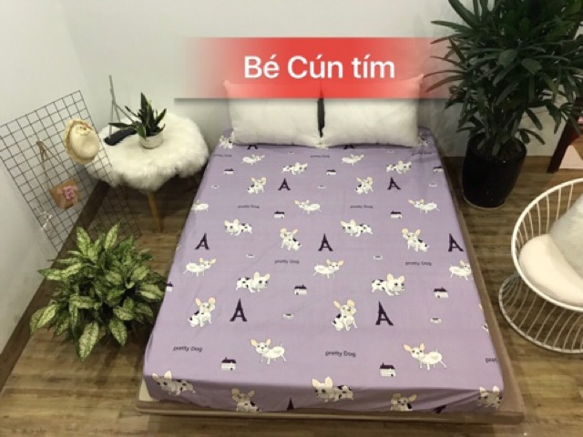 Siêu phẩm Ga Chống Thấm Vải Cotton Cao Cấp -&gt; sử dụng trực tiếp -&gt; đủ size /được chọn mẫu