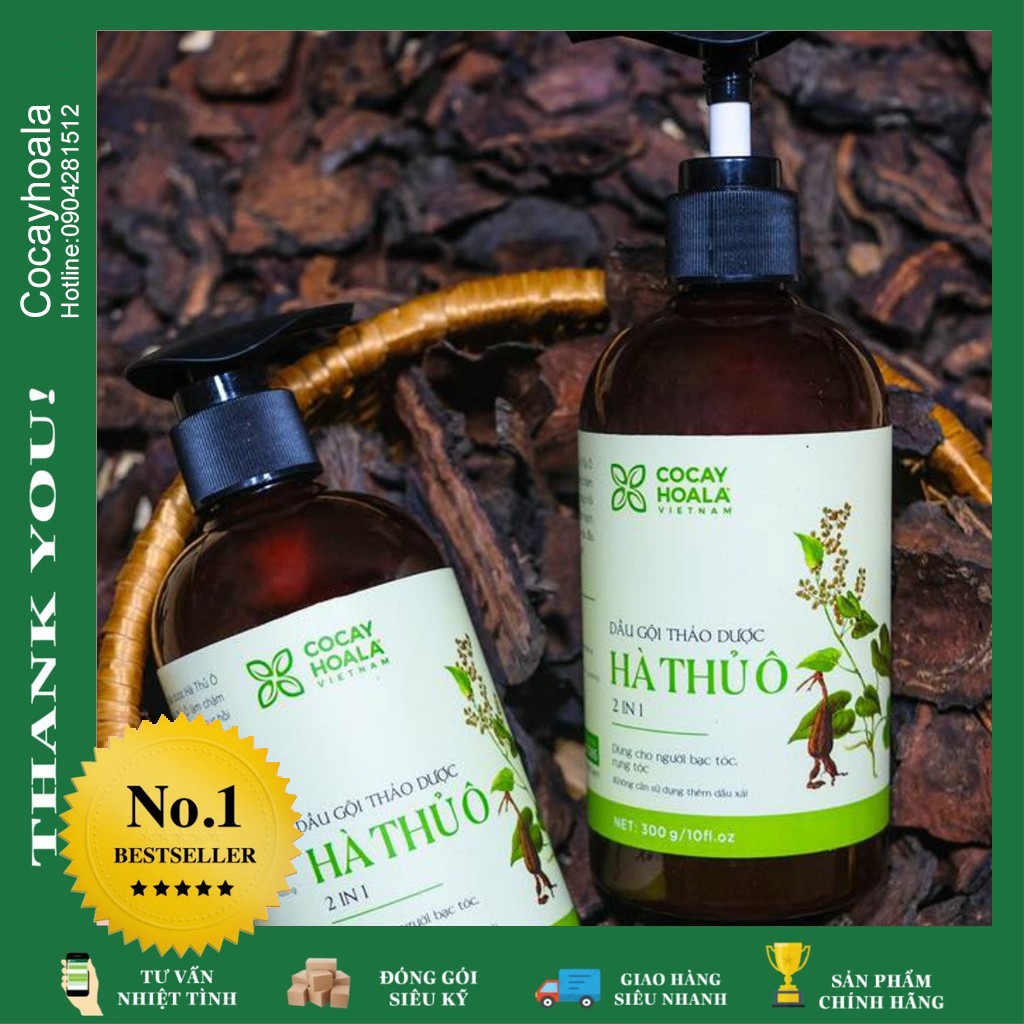 Dầu Gội Hà Thủ Ô 2in1 - Dầu Gội Ngăn rụng tóc, Giảm Rụng Tóc Bạc Tóc chống hói đầu Cocayhoala 300ml | BigBuy360 - bigbuy360.vn