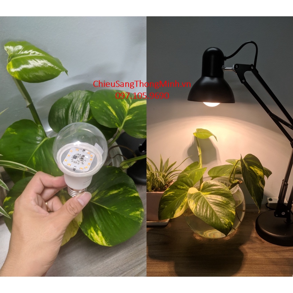 Đèn quang hợp, đèn trồng cây trong nhà 9W, đèn quang hợp cho cây xanh, trầu bà, lan chi, lộc phát, sen đá Rạng Đông