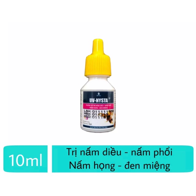 1 lọ Uv-Nysta chuyên nấm diều, nấm họng, đẹn cho Gà Đá.