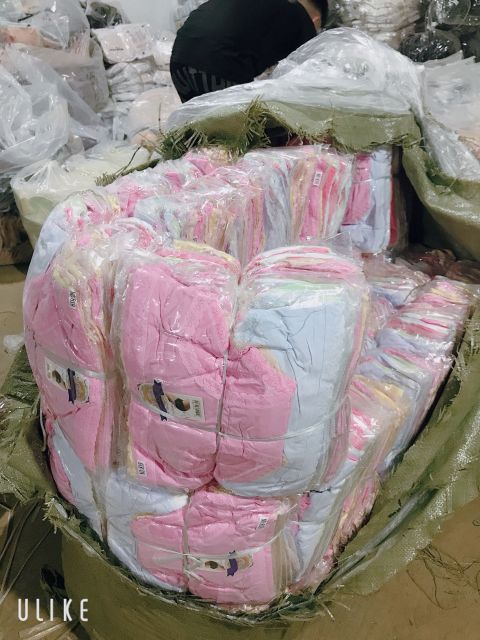 Quần cotton viền ren phom to