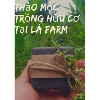XÀ PHÒNG THẢO MỘC [ Tía Tô & Chùm Ngây ] 100gr, Xà Bông Handmade Lá Farm