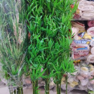 Cây trúc giả