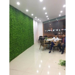 CỎ TREO TƯỜNG CẢI XOONG NON PVC GIÁ RẺ KÍCH THƯỚC 40*60 CM