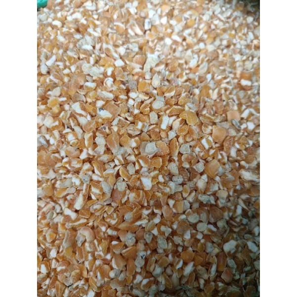 Bắp bể cho gà, chim 1kg