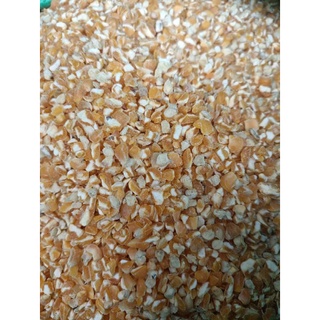 Bắp bể cho gà, chim 1kg