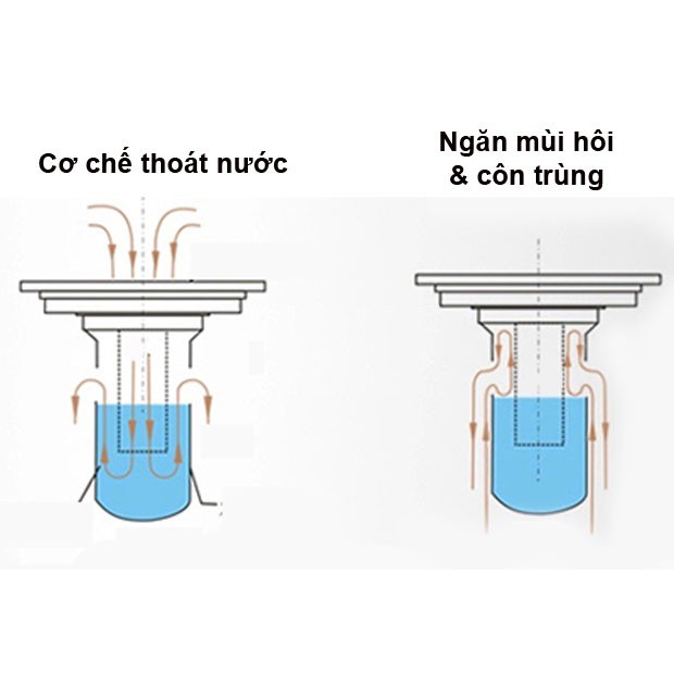 Phễu thoát sàn ngăn mùi 100%, ngăn côn trùng  DAESUN DS 515 mặt siêu dày