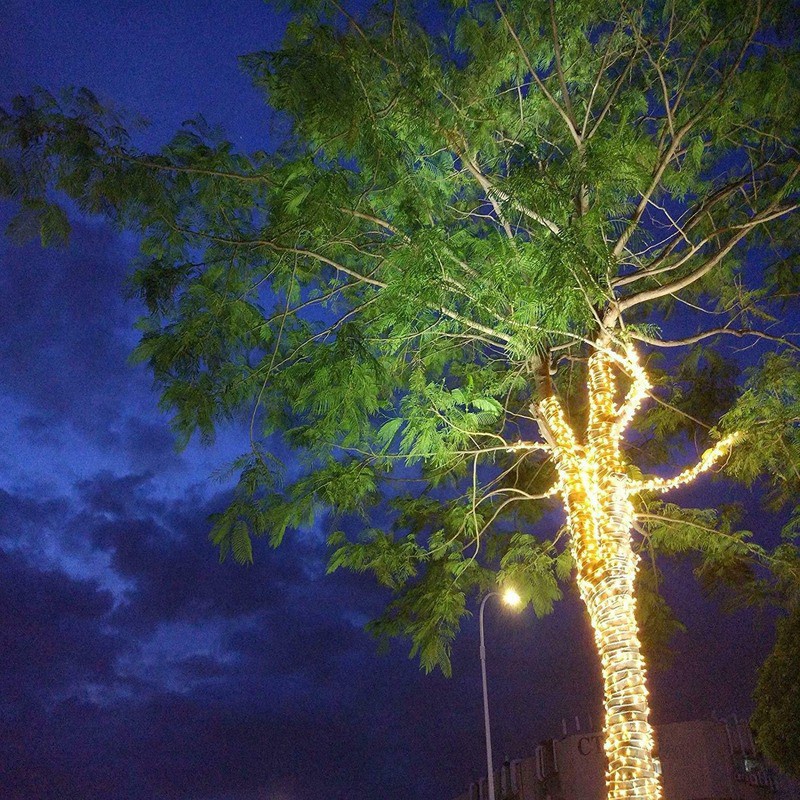 Dây Đèn LED 5 / 10M 8 Chế Độ Trang Trí Giáng Sinh