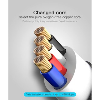 Cáp Baseus zinc Alloy 2A Type C