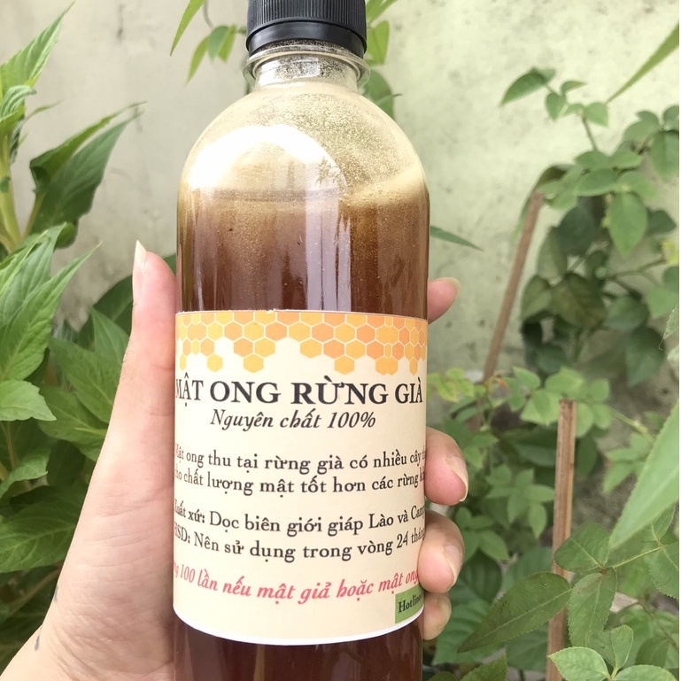 Mật Ong Rừng Già Tự Nhiên - Không Phải Ong Nuôi, Không Pha Tạp Chất