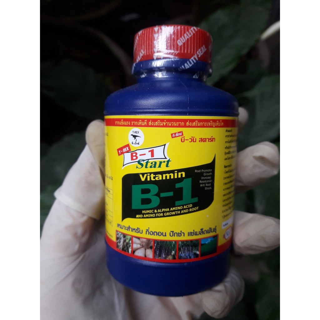 (HÀNG CHUẨN GIÁ TỐT)Vitamin B1 Thái lan (100ml)