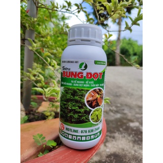 Siêu bung đọt, ra rễ chuyên mai . Phân bón vi lượng cho cây mai
