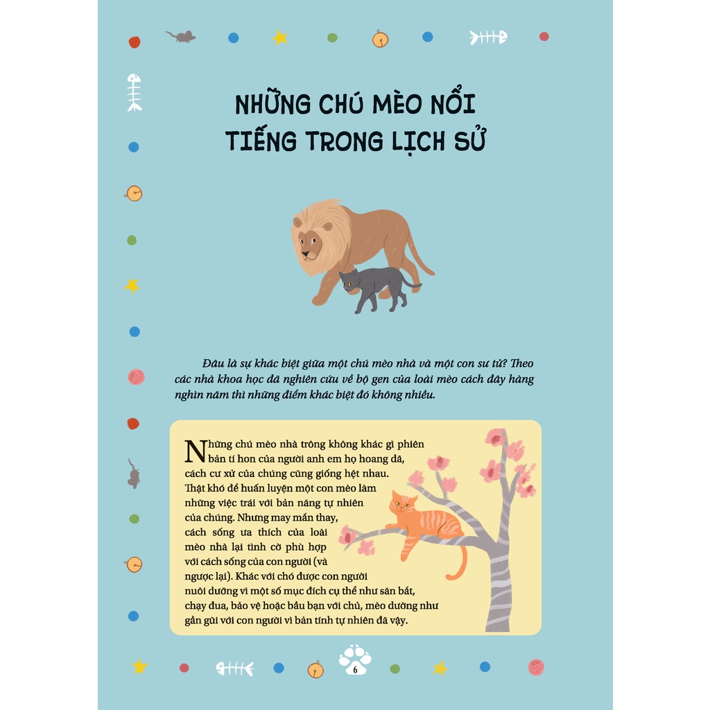 Sách - Câu Chuyện Về Loài Mèo