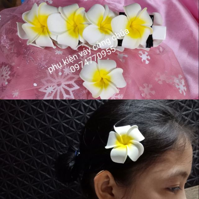 Hoa cài tóc