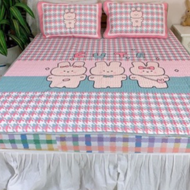 Chiếu bo chun cao su non 5D loại 1 thoáng mát ,dày dặn (tặng kèm 2 vỏ gối)