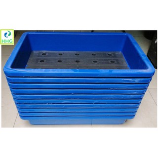 10 KHAY NHỰA TRỒNG RAU KÍCH THƯỚC 68X42X15CM - MÀU XANH