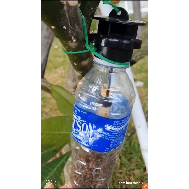 Bộ nắp và bẫy dẫn dụ ruồi vàng