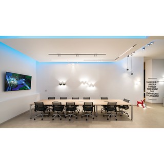Đèn led rọi ray 12w COB