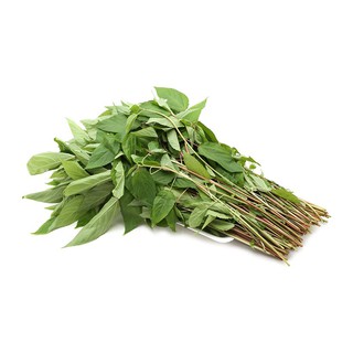 Hạt Giống Rau Đay Đỏ Dễ Trồng, Thu Hoạch Sớm, Liên Tục Gói 20 Gam