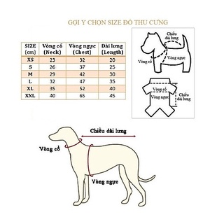 Áo ba lỗ mùa hè dành cho thú cưng