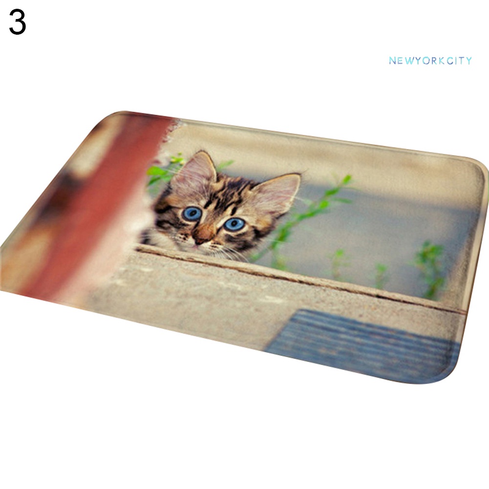 Thảm lót cửa chùi chân Chống Trượt In Hình Mèo 3D