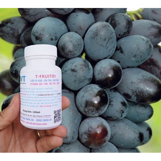T-FRUIT 01 - Siêu to quả, lớn trái, neo quả (Cytokinin kích thích trái phát triển) chai 100ml