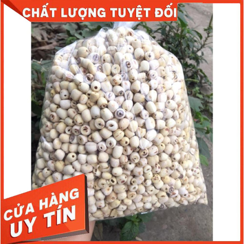 1kg hạt sen khô loại 1 - tặng 1 gói tiềm thuốc bắc hầm gà - Hàng Chuẩn Loại 1